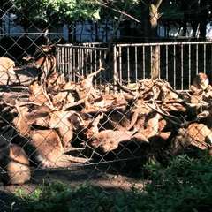 投稿日:2023年3月20日 写真