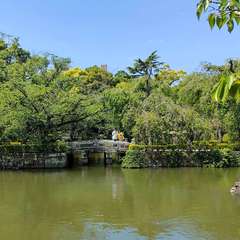 投稿日:2023年5月5日 写真