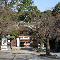 投稿日:2023年11月2日 写真