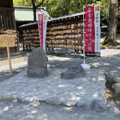 投稿日:2022年5月4日 写真