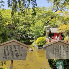 投稿日:2023年5月5日 写真
