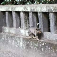 投稿日:2019年4月6日 写真