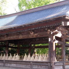 投稿日:2023年11月2日 写真