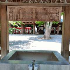 投稿日:2023年5月5日 写真