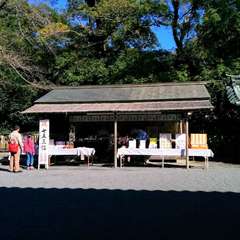 投稿日:2023年3月20日 写真