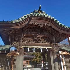 投稿日:2024年12月28日 写真