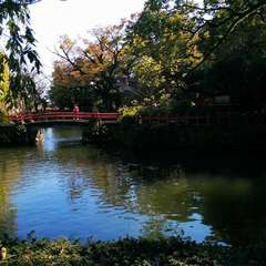 投稿日:2023年3月20日 写真