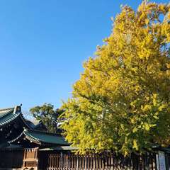 投稿日:2024年1月2日 写真