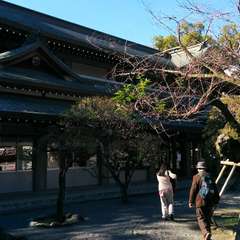 投稿日:2023年3月20日 写真