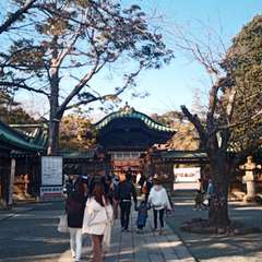 投稿日:2021年2月20日 写真