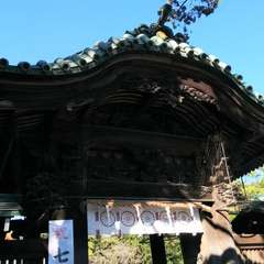 投稿日:2023年3月20日 写真