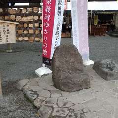 投稿日:2024年6月20日 写真