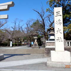 投稿日:2025年8月30日 写真