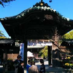 投稿日:2023年3月20日 写真