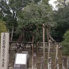 投稿日:2024年6月20日 写真