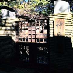 投稿日:2023年3月20日 写真