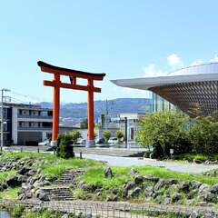 投稿日:2025年8月31日 写真