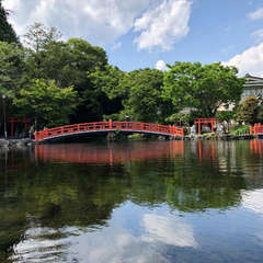 投稿日:2018年5月11日 写真