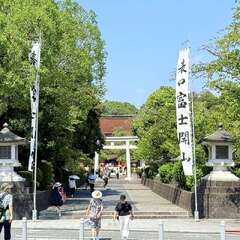 投稿日:2025年8月31日 写真