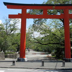 投稿日:2024年8月15日 写真