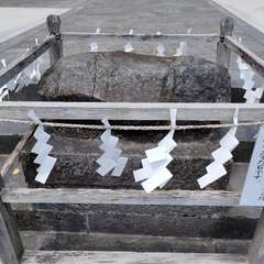 投稿日:2022年8月12日 写真