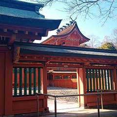 投稿日:2021年2月20日 写真