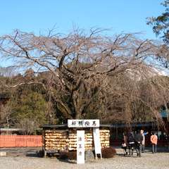 投稿日:2015年9月13日 写真