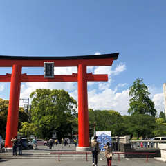 投稿日:2018年5月10日 写真