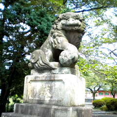 投稿日:2025年7月13日 写真