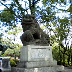 投稿日:2025年7月13日 写真