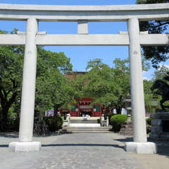 投稿日:2024年8月15日 写真