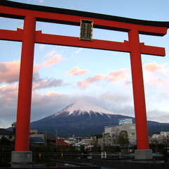 投稿日:2024年1月25日 写真