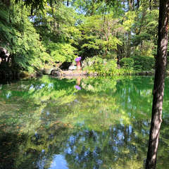 投稿日:2018年5月11日 写真
