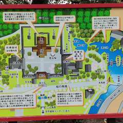 投稿日:2022年8月12日 写真