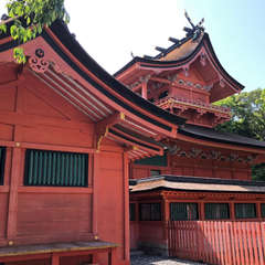 投稿日:2018年5月11日 写真