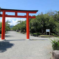 投稿日:2024年8月15日 写真