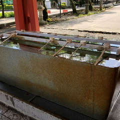 投稿日:2018年5月11日 写真