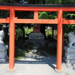 投稿日:2024年8月15日 写真