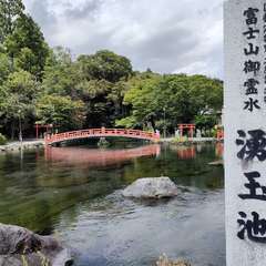 投稿日:2022年8月12日 写真