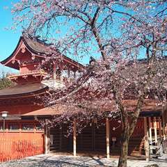 投稿日:2021年2月20日 写真