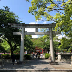 投稿日:2018年5月10日 写真