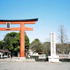 投稿日:2025年8月1日 写真