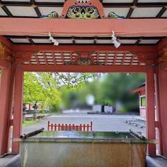 投稿日:2022年8月12日 写真