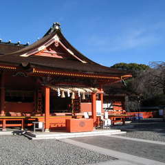 投稿日:2024年1月25日 写真