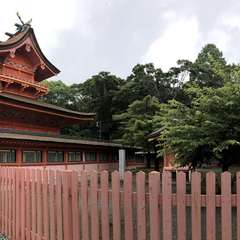 投稿日:2019年6月23日 写真