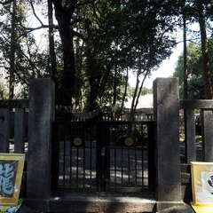 投稿日:2025年8月2日 写真