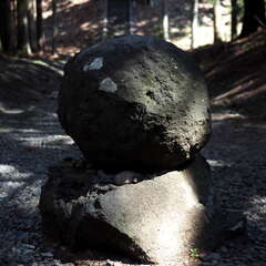 投稿日:2025年8月2日 写真