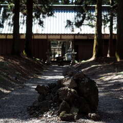 投稿日:2025年8月2日 写真