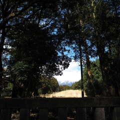 投稿日:2025年8月2日 写真