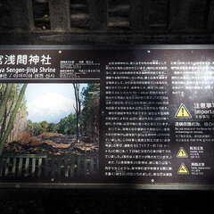 投稿日:2025年8月2日 写真